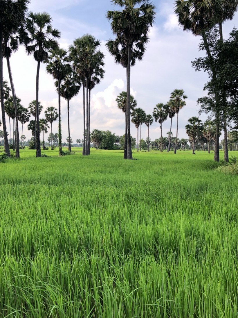 ចៀម សុភ័ក្រ្ត