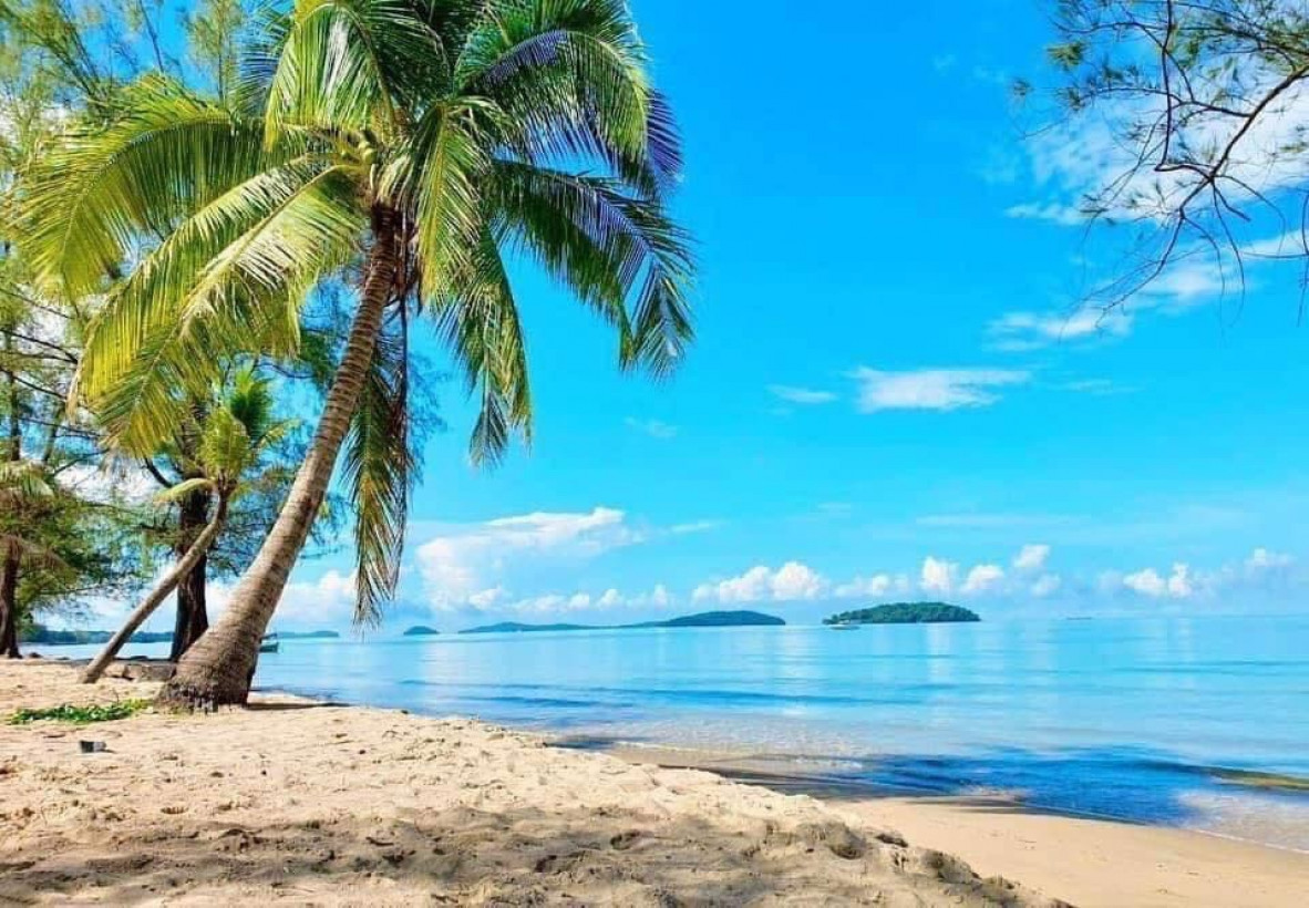 087599990 p-60881450