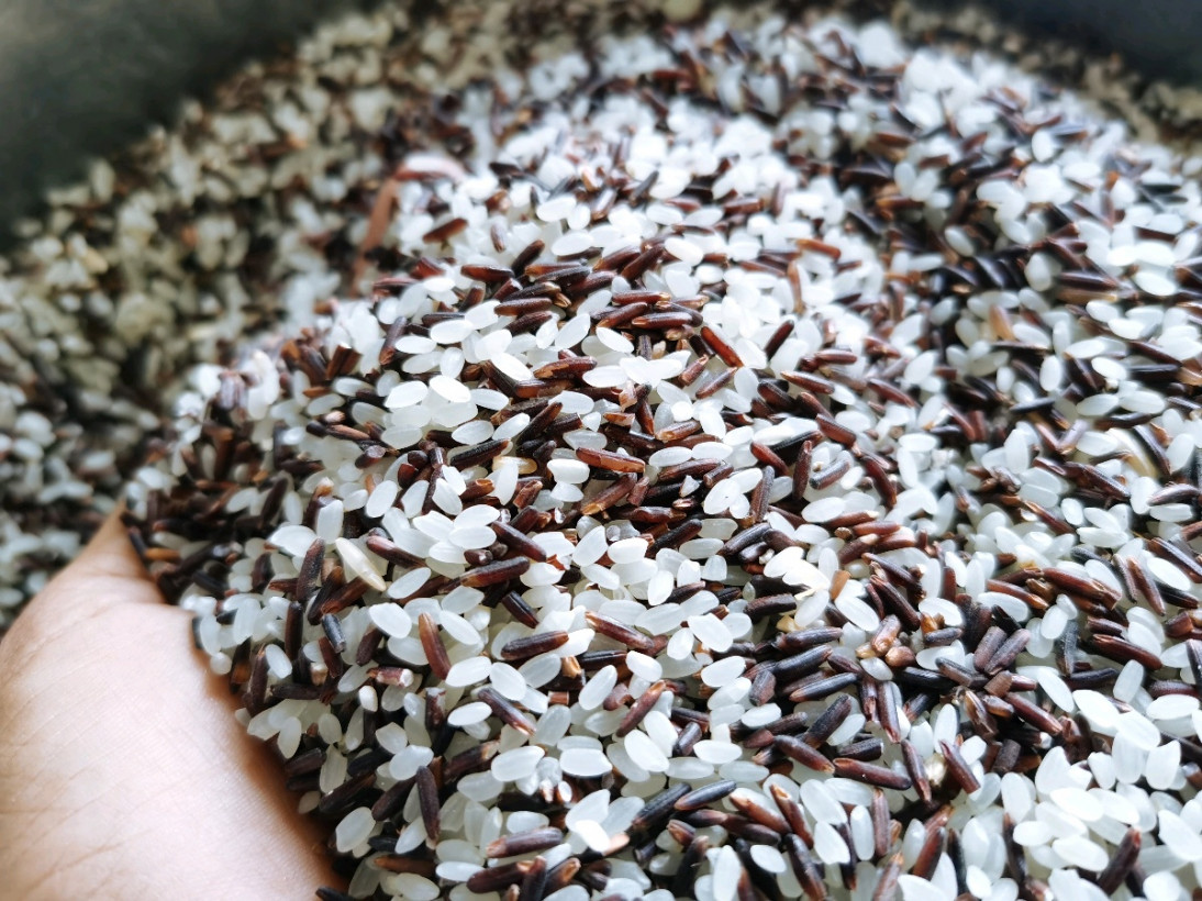 ហូយ ហុងលៀង