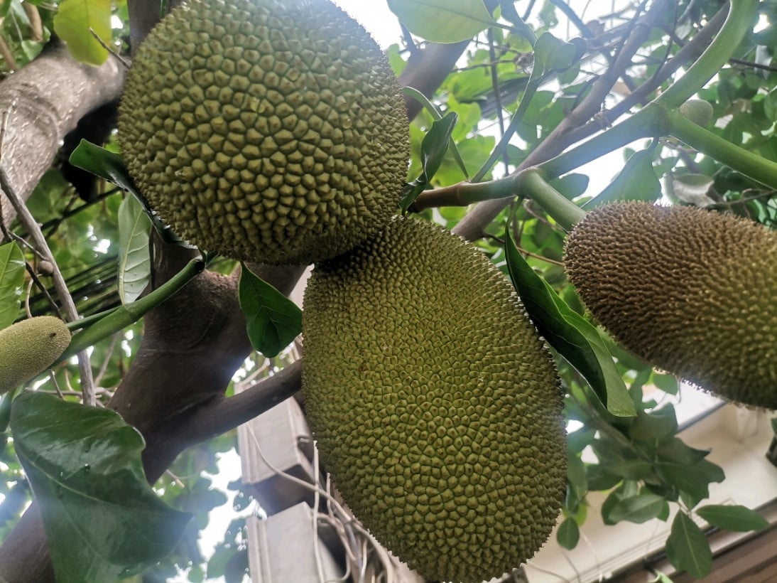 សុខ សប្បាយ