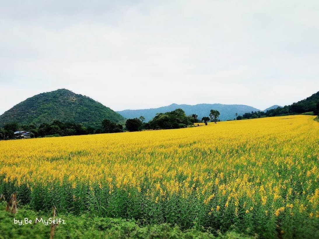 CSK សុី អេស ខេ Auto Car ទិញ  លក់ នឹងបង់រំលោះរថយន្តគ្រប