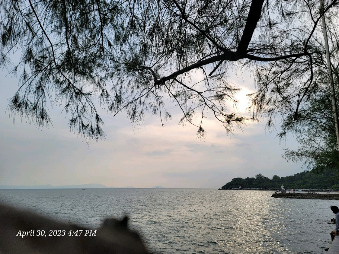 បង ប្រុស