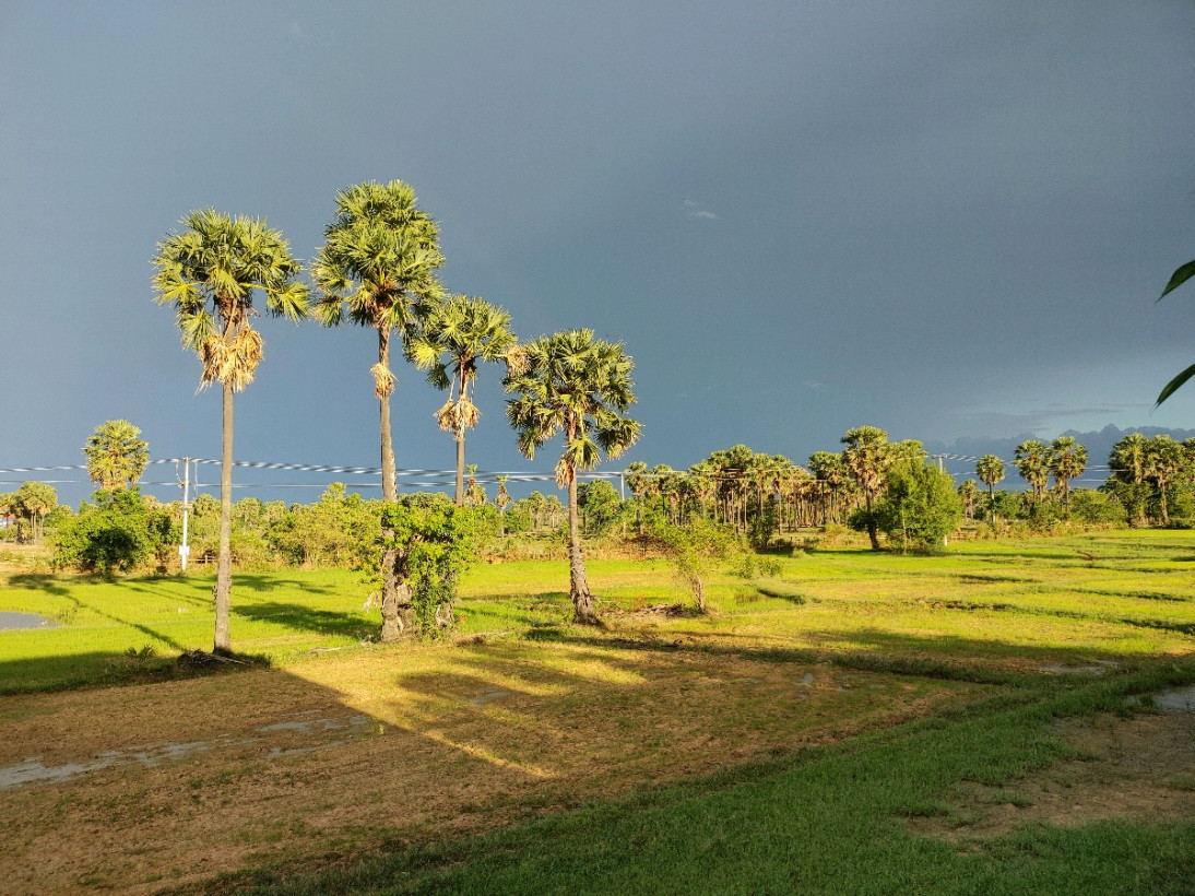 សុខុម ស៊ឹន