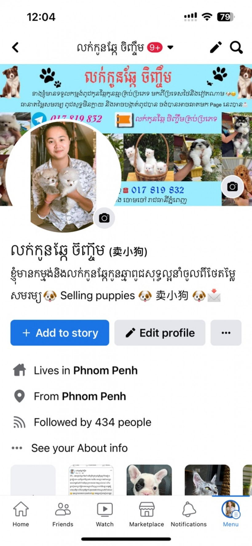 លក់កូនឆ្កែ ចិញ្ចឹមគ្រប់ប្រភេទ (卖小狗)