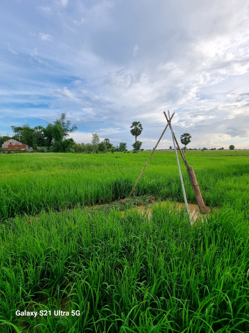 យឹម រដ្ឋធានី