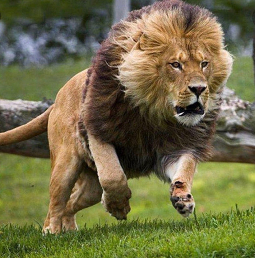 សុខ ចម្រើន