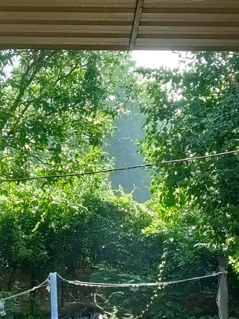 SREYNUTH - ស្រីនុត