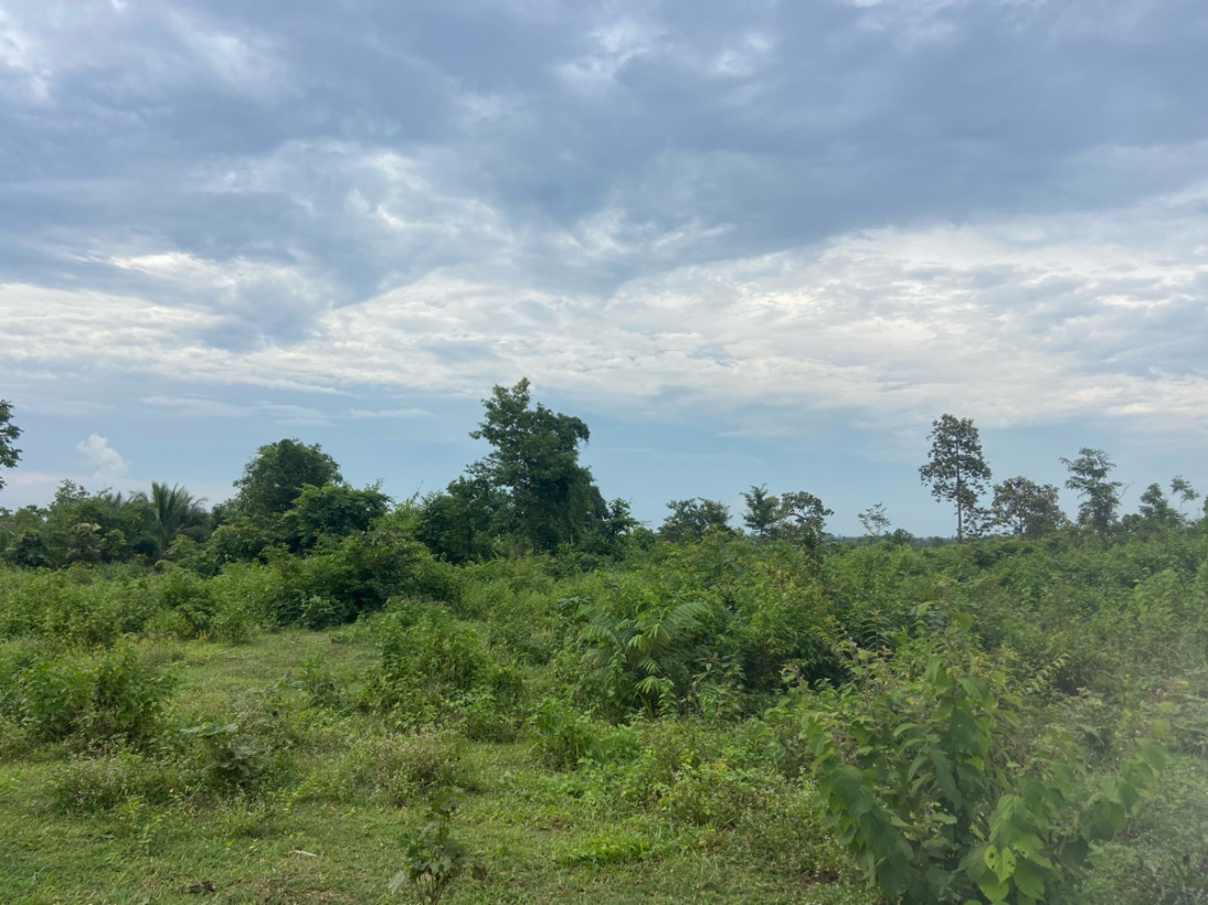 នាយប៊ុនតឺម សារពត៍មាន