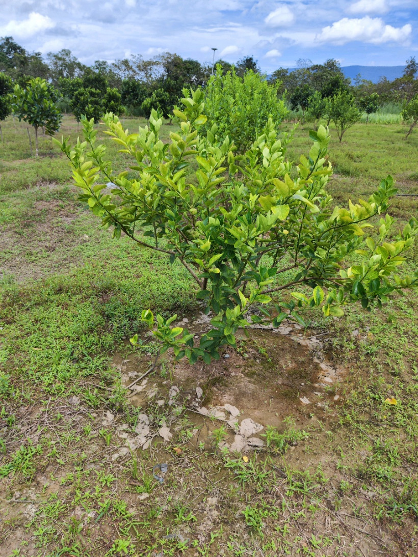 ទីតាំងពិសេស តម្លៃពិសេស