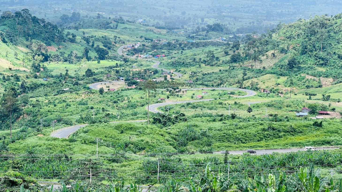 ហ៊ា ស៊ីង