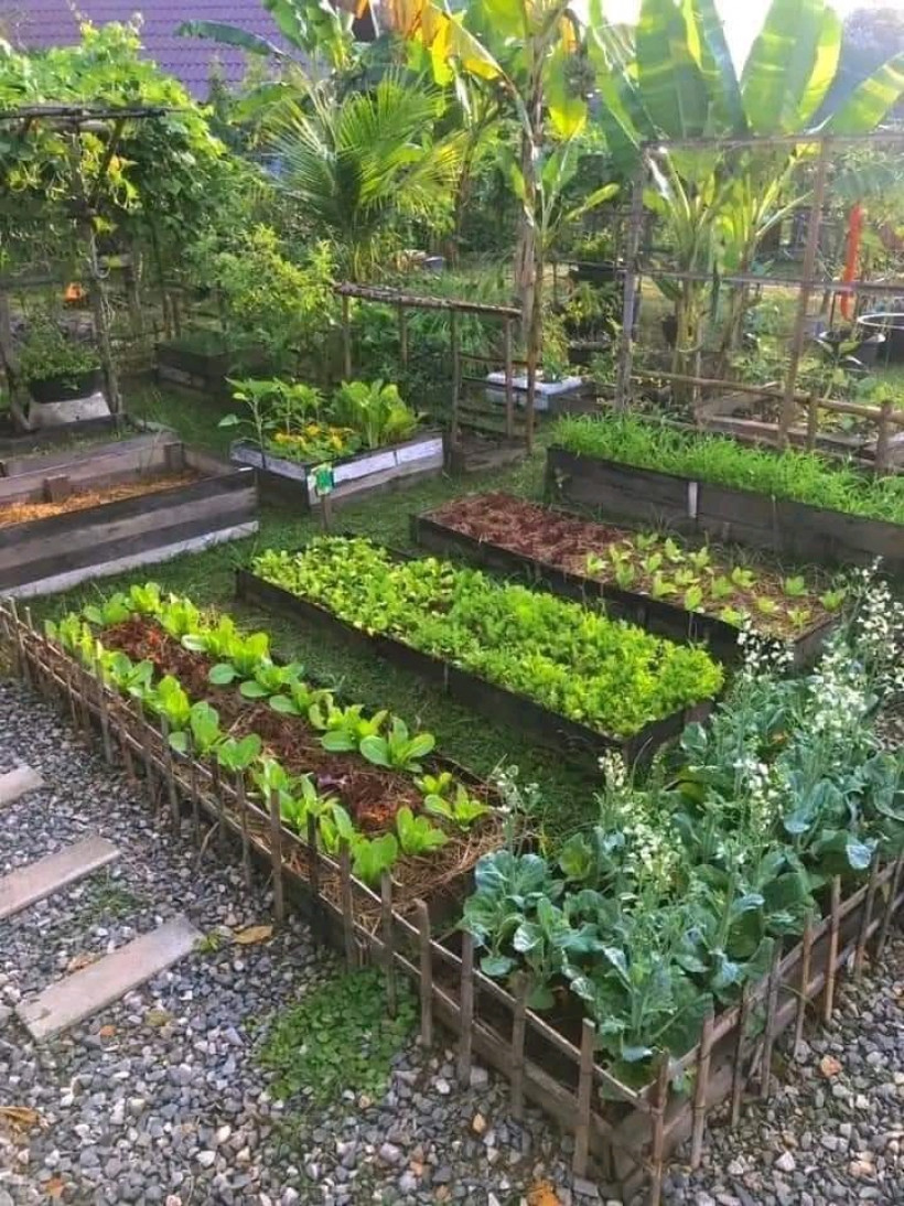 សហគមន៍កសិកម្មចម្រុះ G-Agricuture