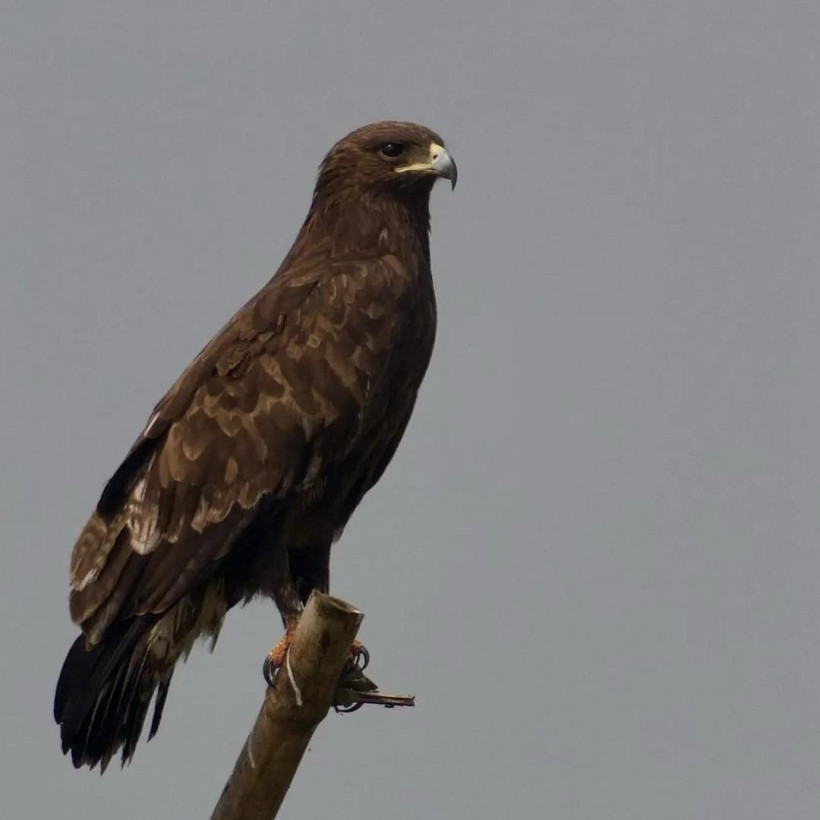 Top3 ទិញលក់ទូរស័ព្ទ១ទឹក