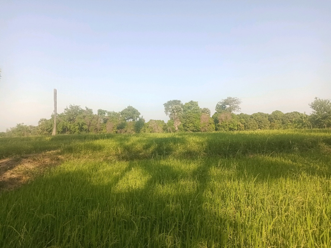 កែន កុសល