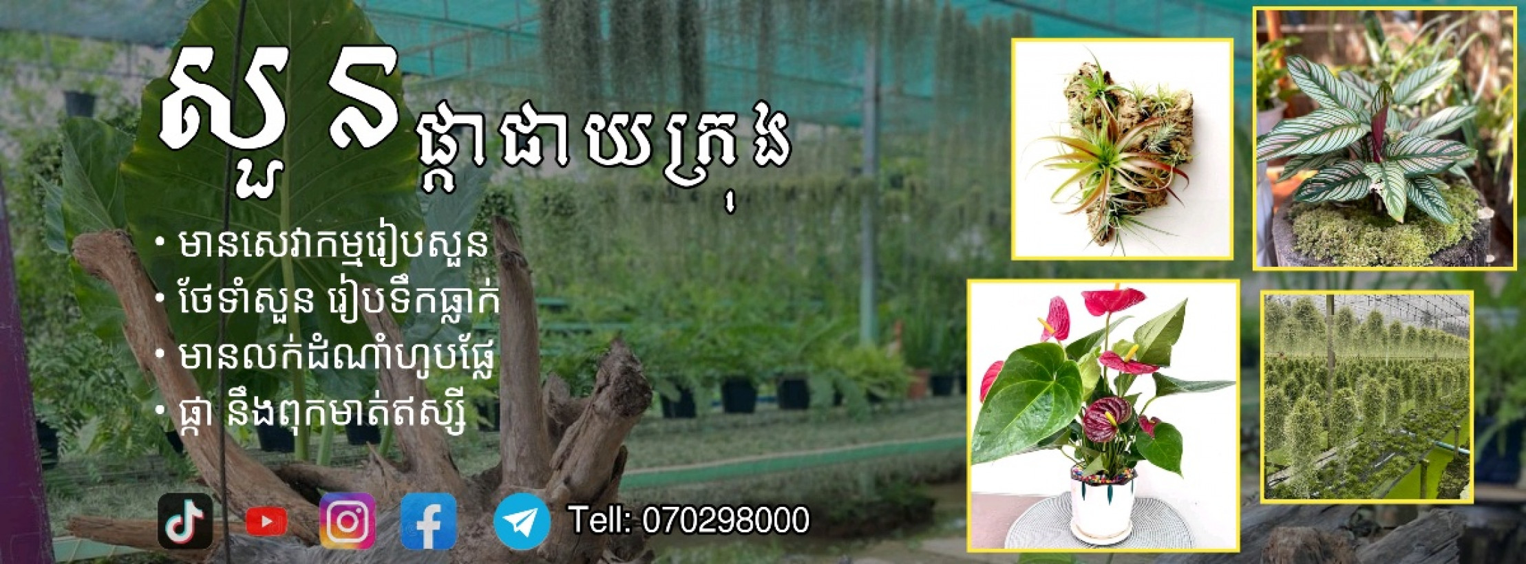 សួនផ្កាជាយ ក្រុង