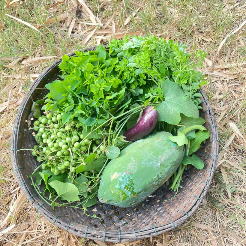 ឌឹម វុទ្ធី