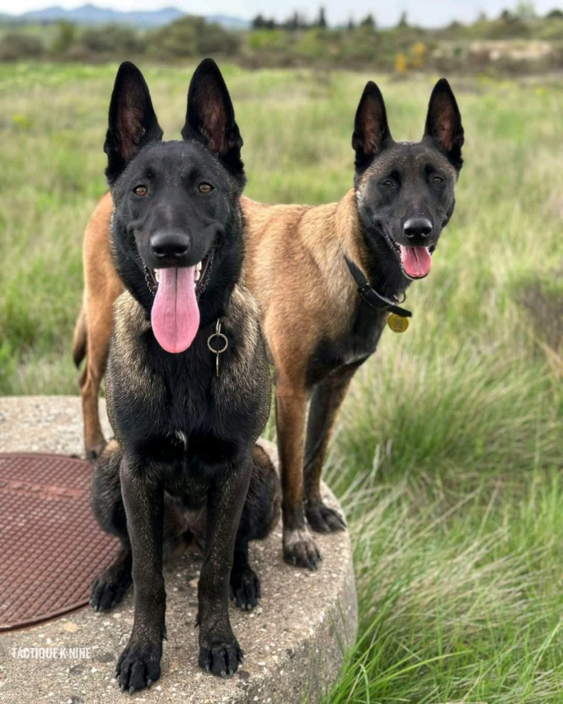 ប៊ន់ សាមេត