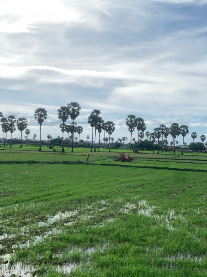 Piseth ពិសិទ្ធ ម៉ូរីអូ