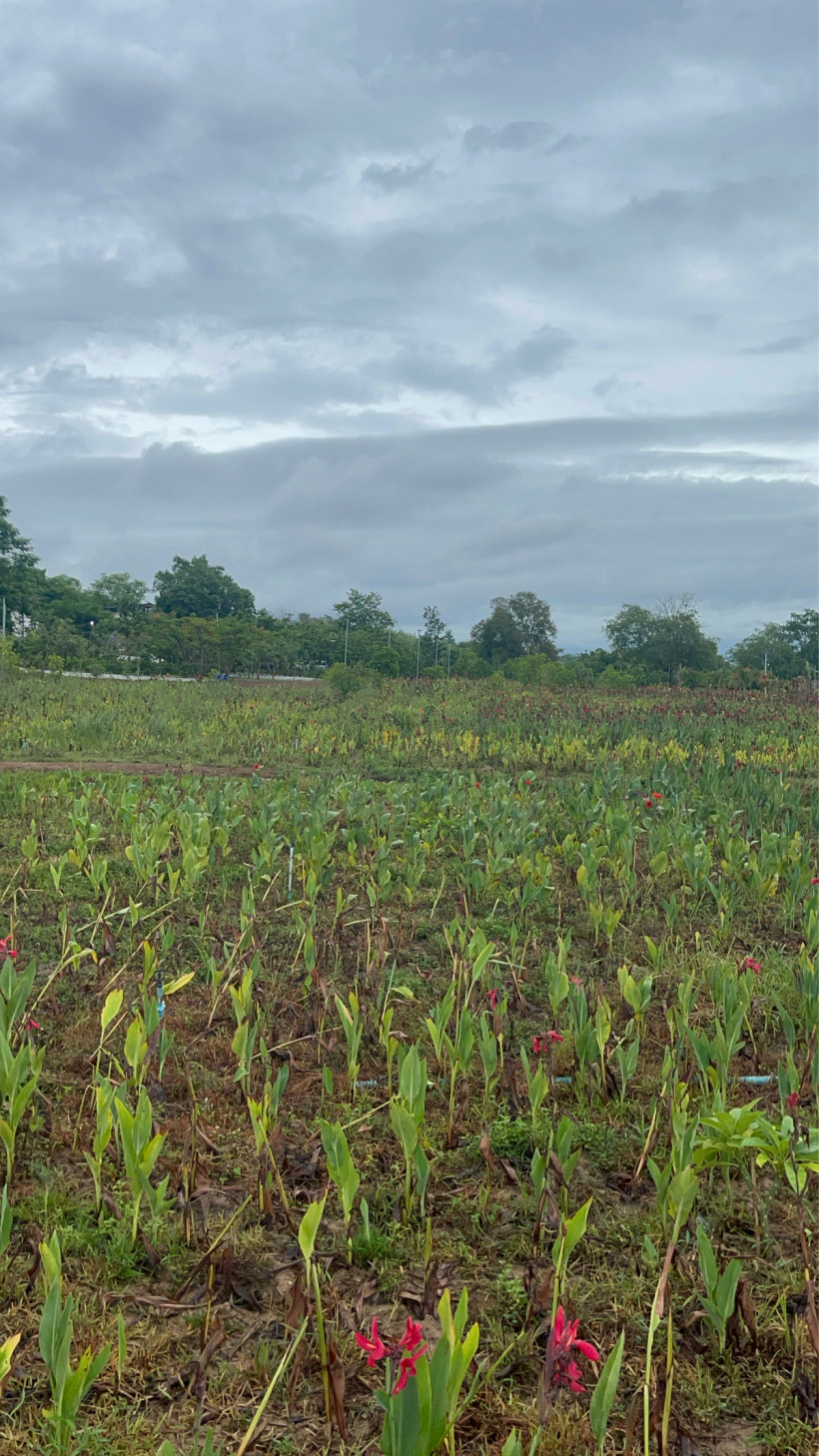 ទូទូ0973096317