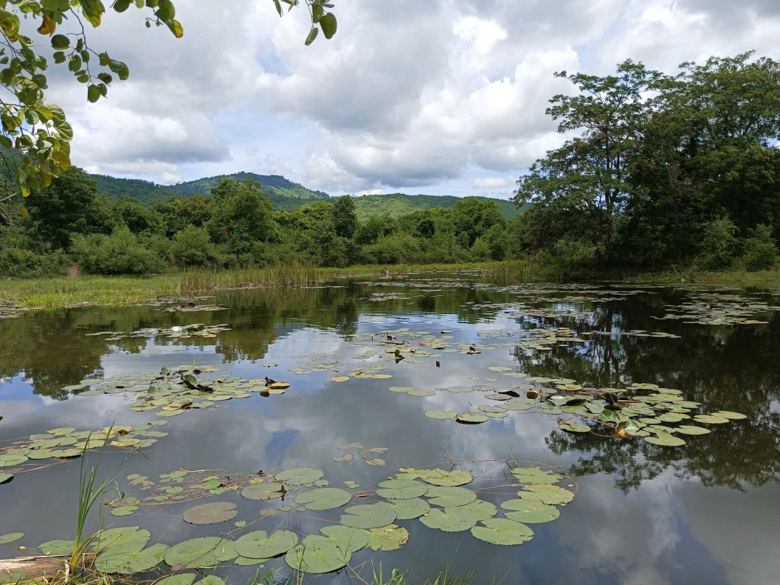 ត្រជាក់ cool