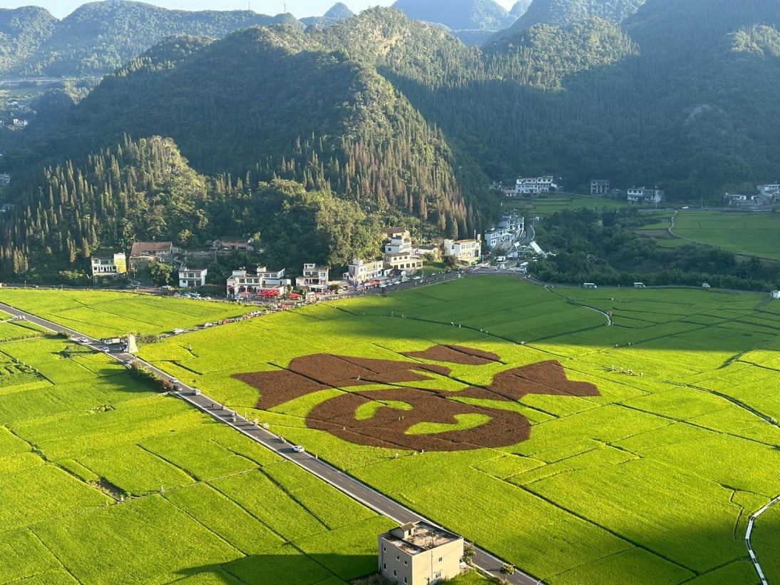 No.5 Motors 汽车批发