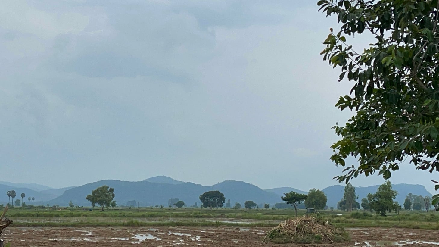 វណ្ណាជេក ជេត