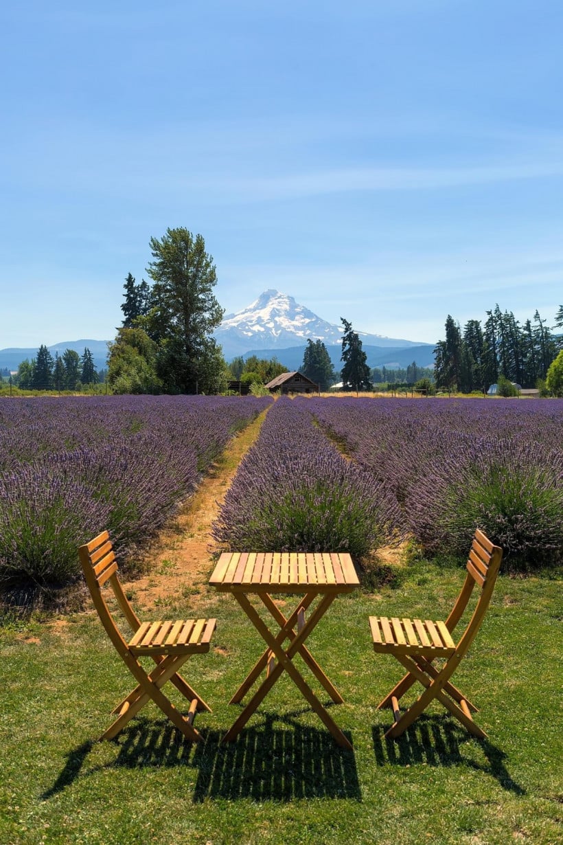 ផ្ទះលក់ ធូរថ្លៃ