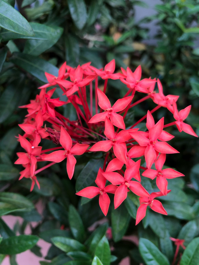 Nice Place to stay m2