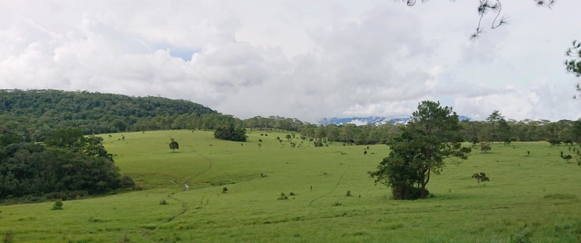 Job ដំណឹងជ្រើសរើសបុគ្គលិក