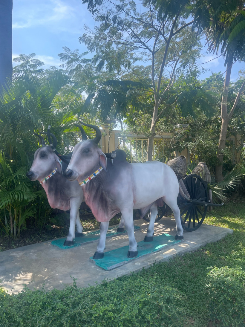 ខ្ញុំស្រឡាញ់ អ្វីដែលខ្ញុំមាន