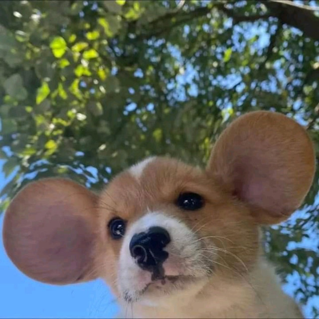 តម្លៃ ក្រោមទីផ្សារ