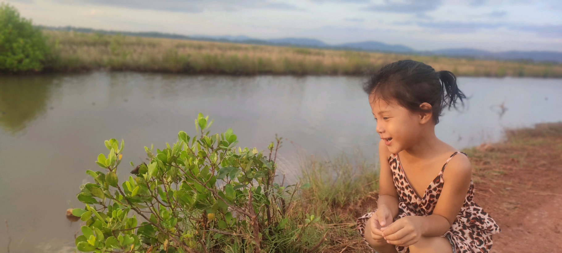 សារ៉ា 大西