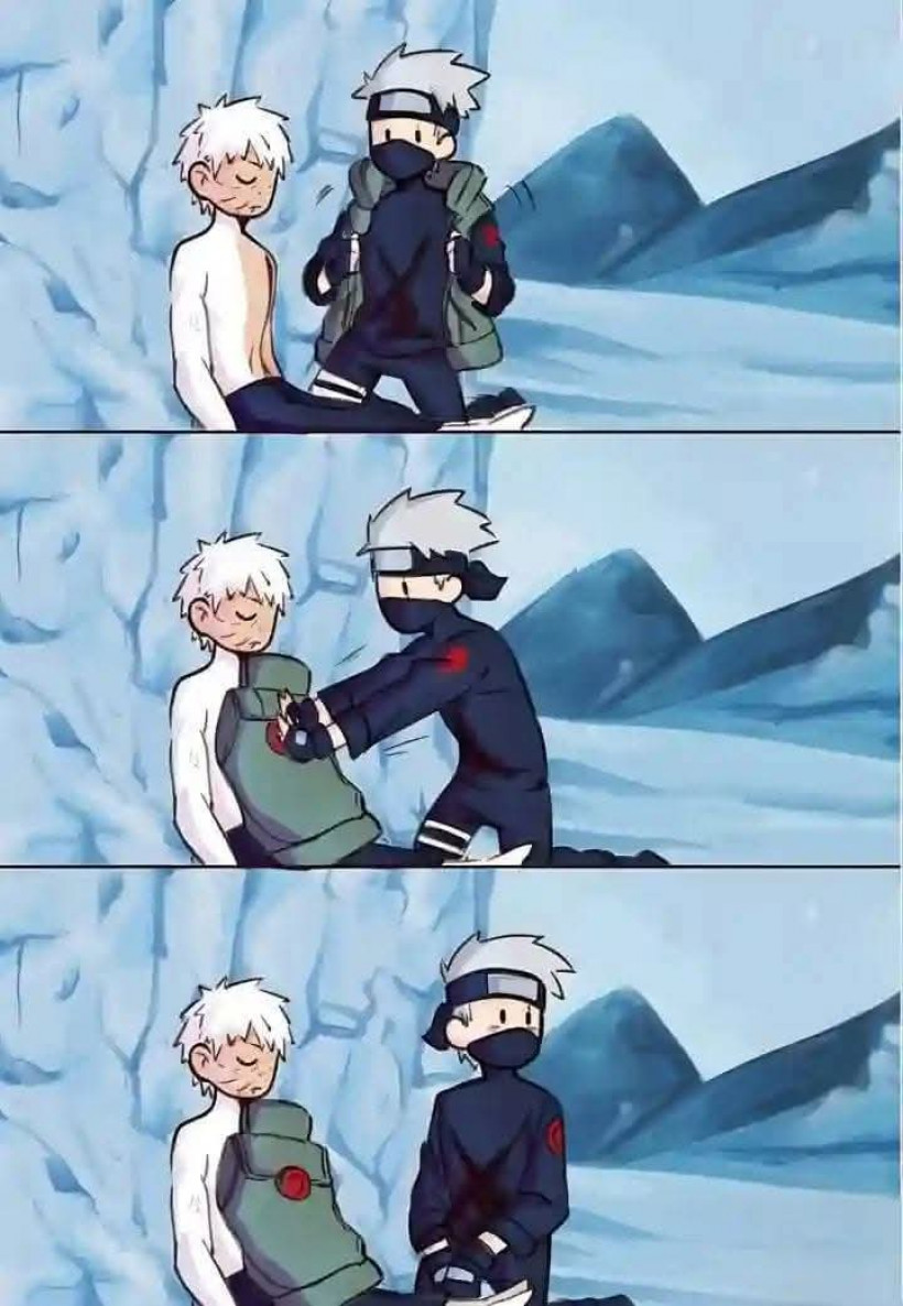 Kumachi bito online Shop