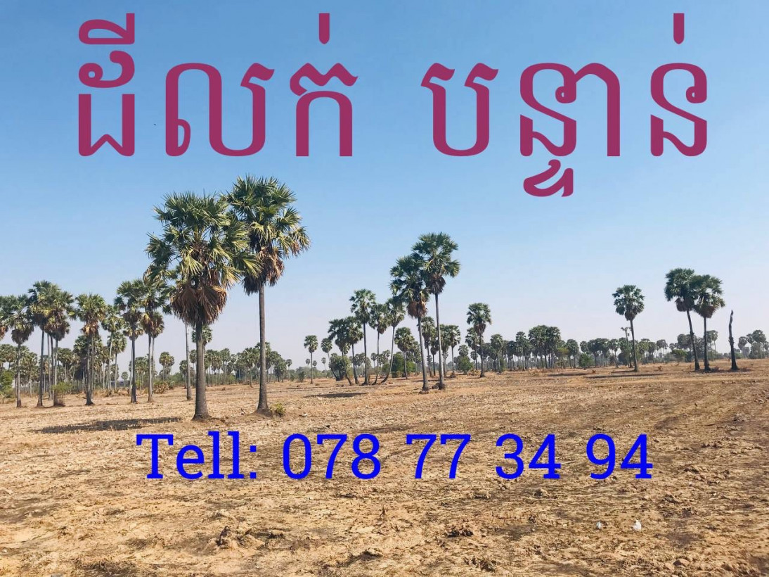 លក់ដី បន្ទាន់