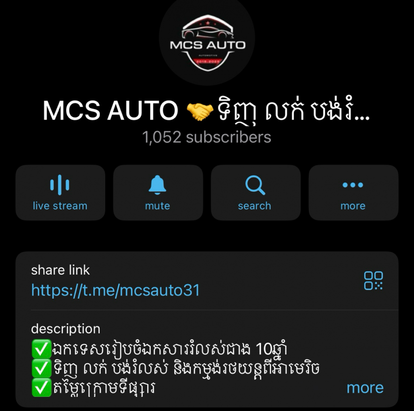 MCS AUTO 2