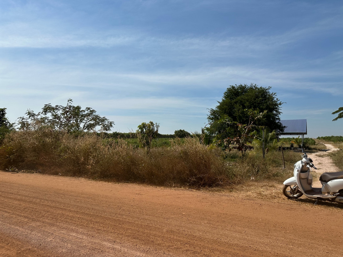 ថាញ់ កញ្ញា