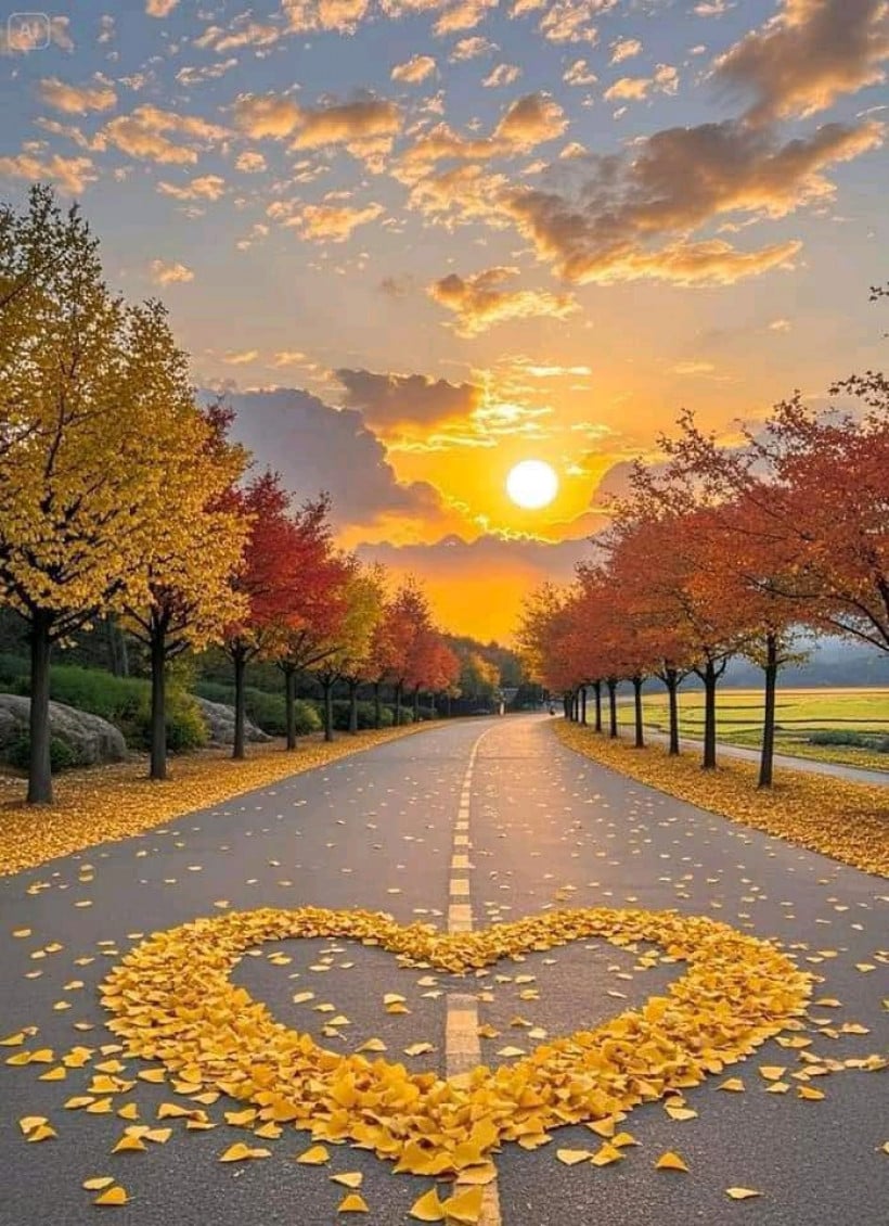 រិទ្ធិសិទ្ធិ ទិញលក់ទូរស័ព្ទ