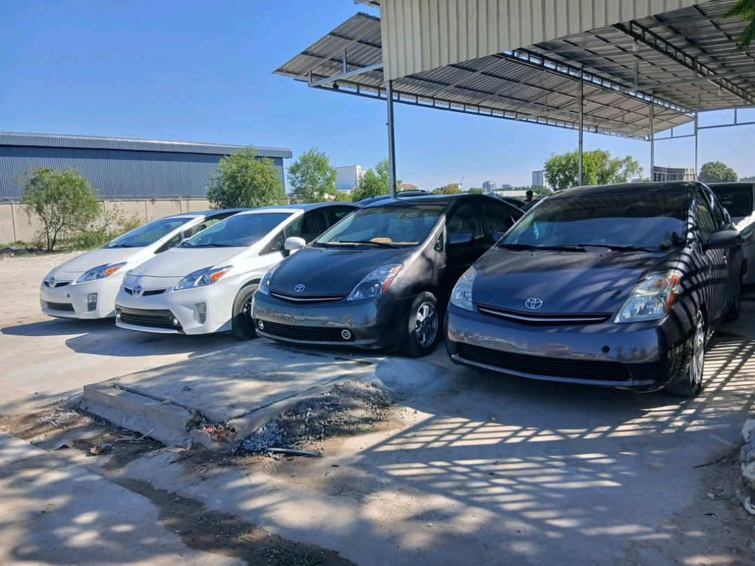 វុទ្ធី ផន