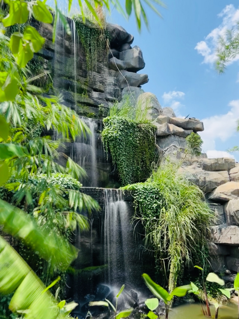 Kim Ly ( Telegrams) 098 333 971