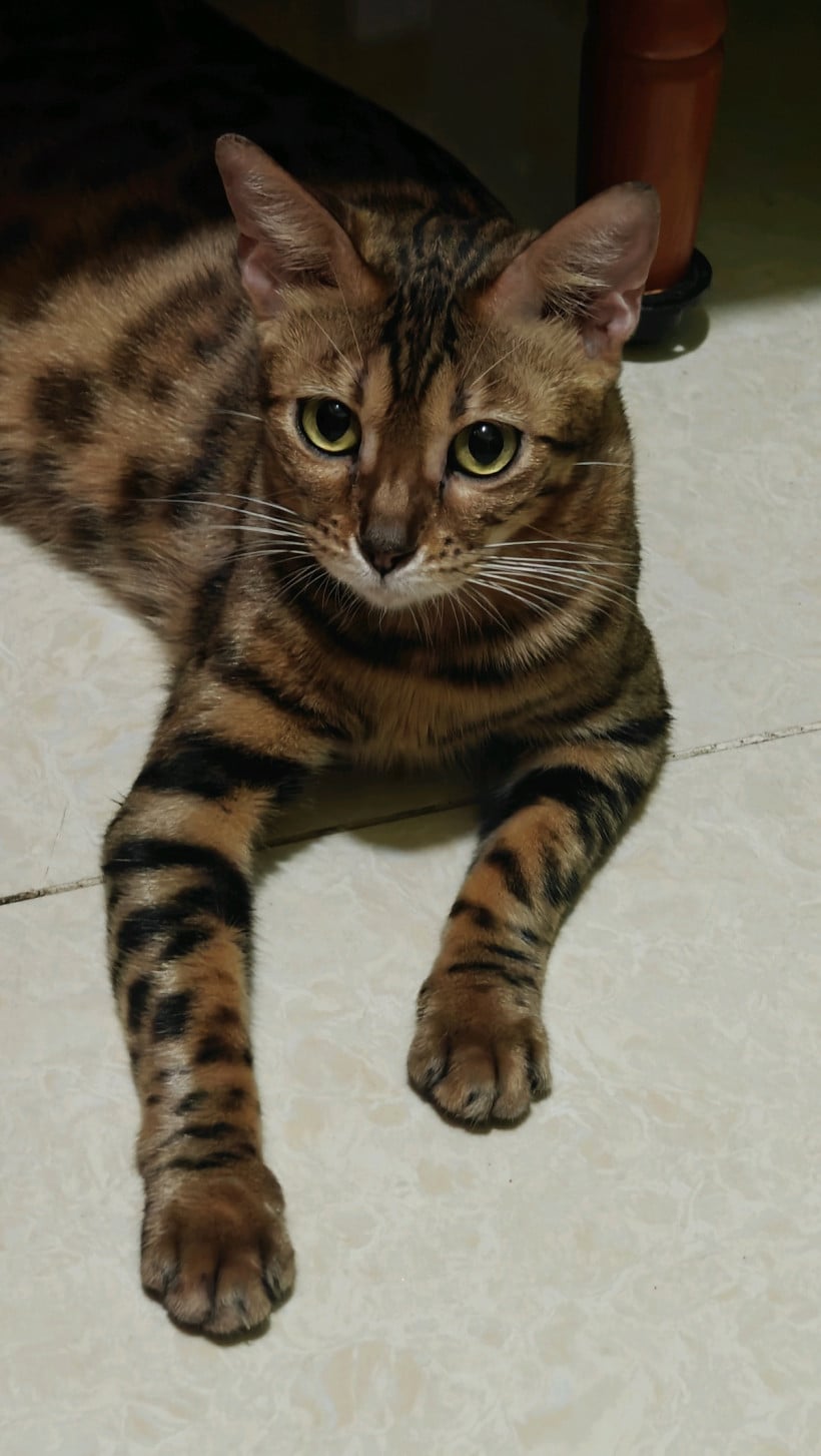 ចាន់ សុខ