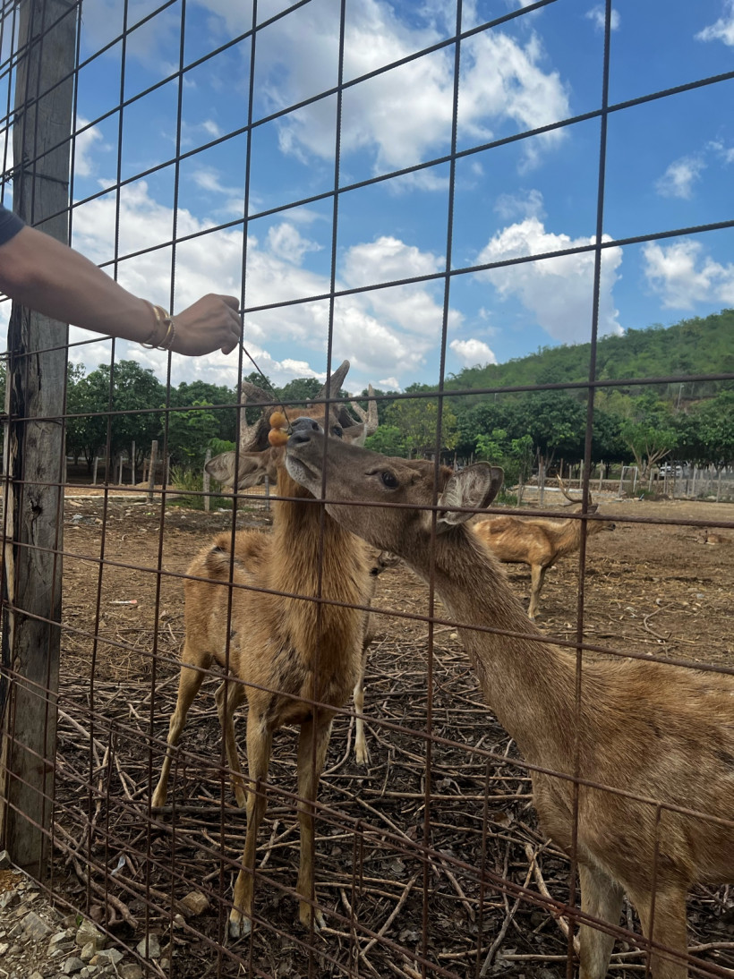 Mr. Lee / លោក លី