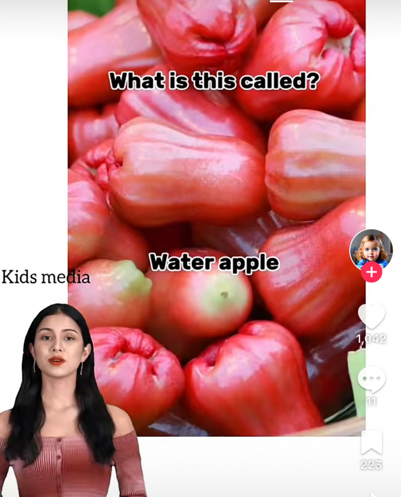 Sok moungkolthanyCHESDA