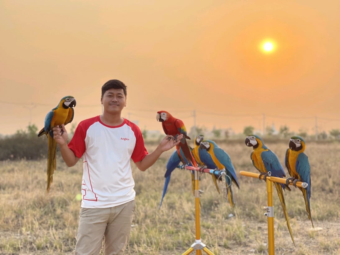 បក្សី ដែក