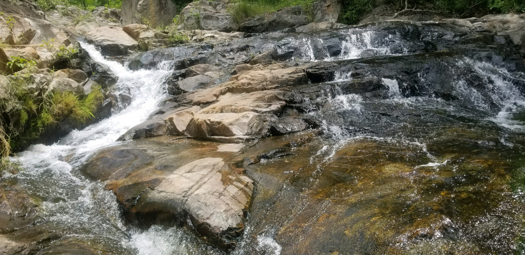 ប្រាជ្ញ ស៊ុយ