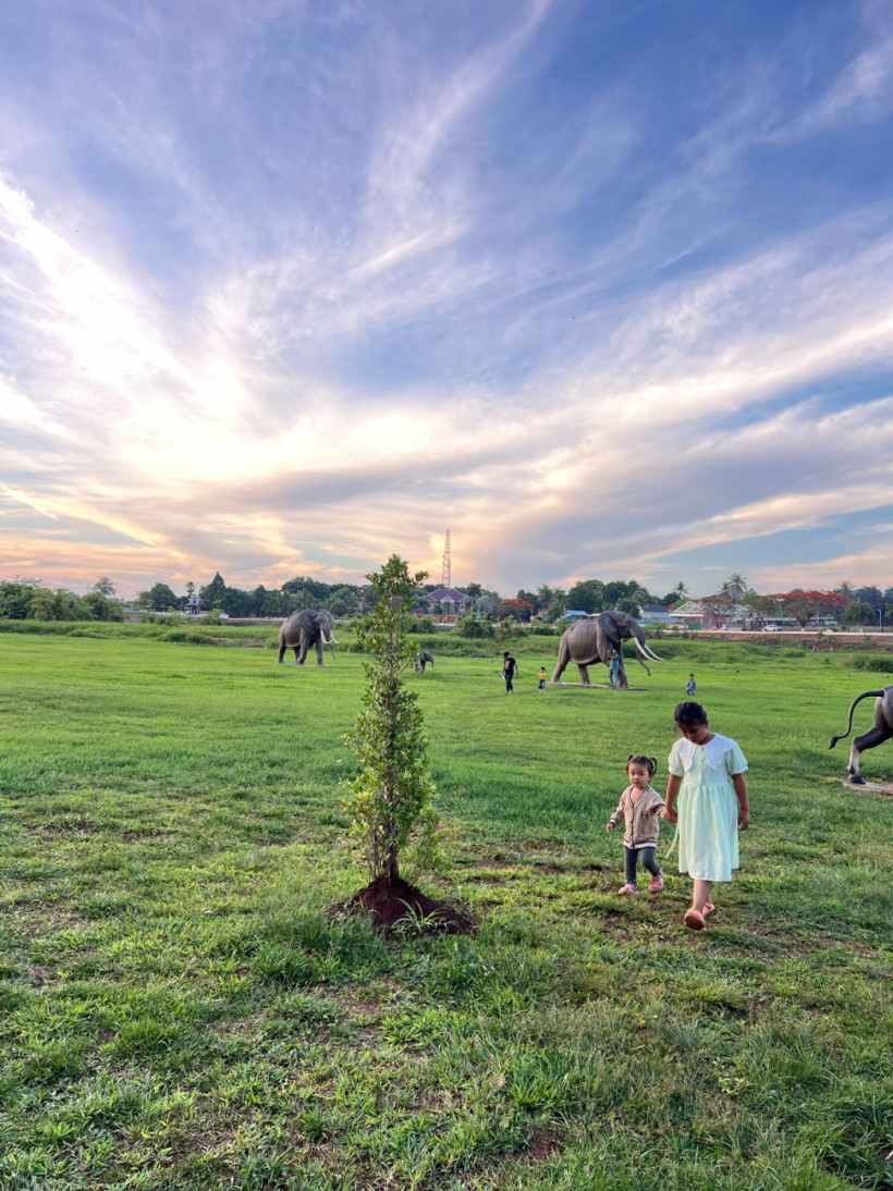 ហ៊ា រិទ្ធ 8686