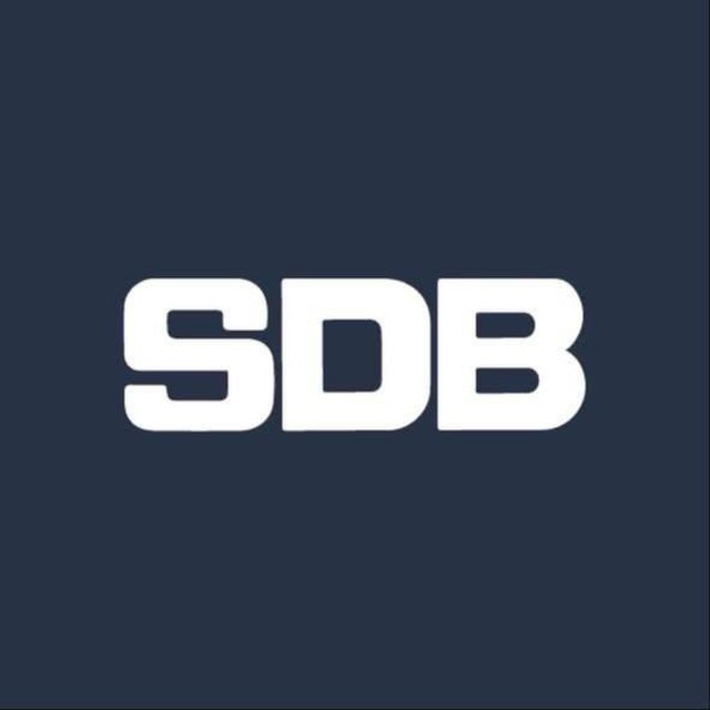 Hong SDB Motors