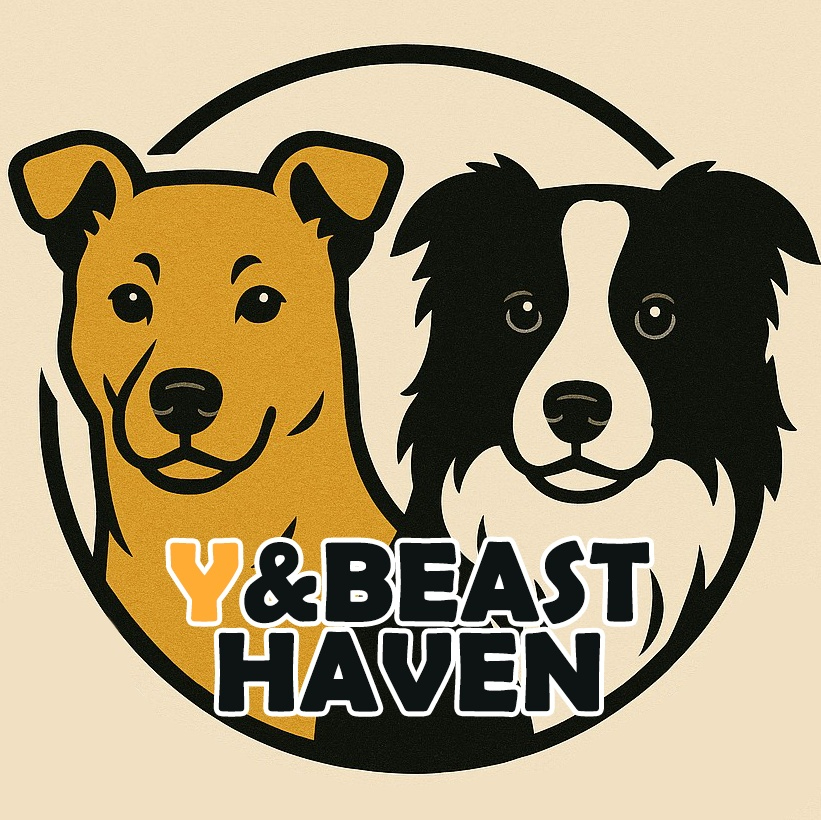 Y&BEAST HAVEN