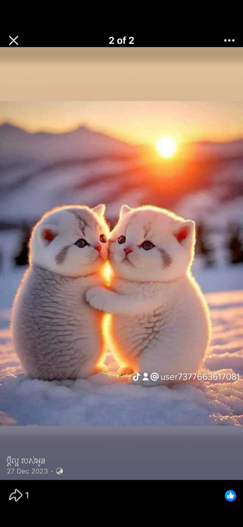 វិចិត្រ៚លក់សម្លៀកបំពាក់៚