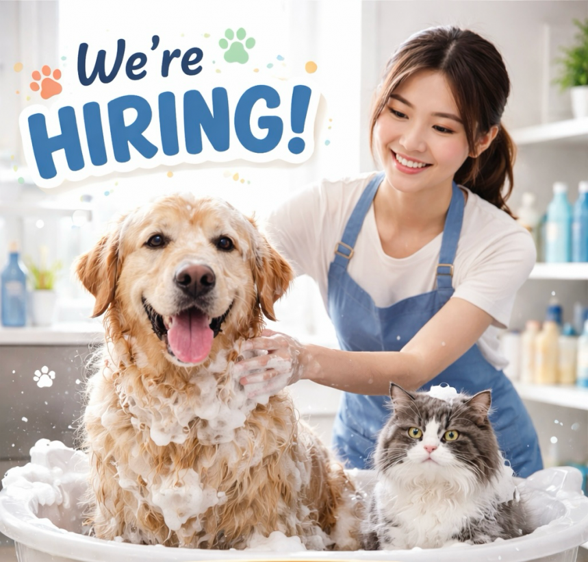 ដំណឹងការងារ Job Opportunities