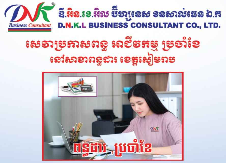 DNK BUSINESS CONSULTANT