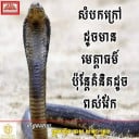 ម៉េងហ្គ័ង លក់គ្រឿងអគ្គិសនី